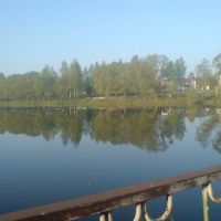 Озеро "Базарское", Клетня