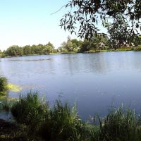 Панорама Базарского озера, Клетня