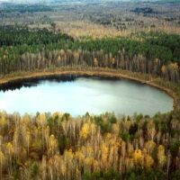 Round lake by autumn, Кокаревка