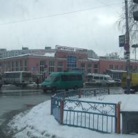 Bryansk - Main Bus Station, Рогнедино