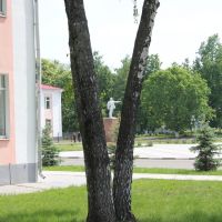 Вид на памятник Ульянову В.И., Стародуб