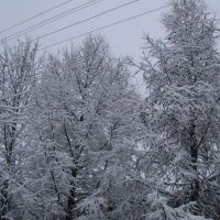 First Snow, Багдарин