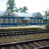 Vydrino railway station, Выдрино