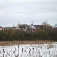 View from marshes to Aleksandrov, Александров