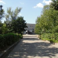 Дорога к школе №2, Вербовский