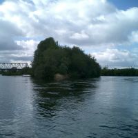 Kind on the bridge, from the river Kljazma, Городищи