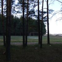 Футбольное поле на сельхозке, Гусь Хрустальный
