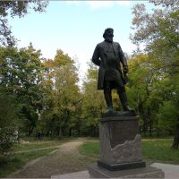 памятник Акиму Мальцову, Гусь Хрустальный