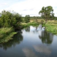 Река Серая, Карабаново