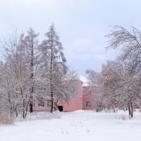 Дворик колледжа зимой, Покров