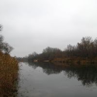Река Бузулук побережье Алексеевки, Алексеевская