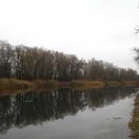 Река Бузулук побережье Алексеевки, Алексеевская