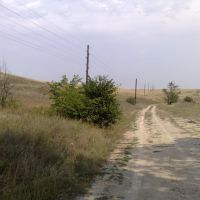 die Steppe, Алущевск