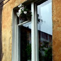Цветы в окне. Flowers in the window., Волжский