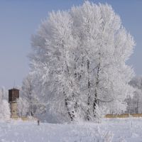 Зимняя сказка, Жирновск