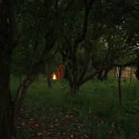 яблоневый сад вечером, Кумылженская