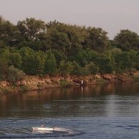 Река Ахтуба, в районе Ленинска., Ленинск
