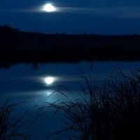 Лунная ночь на озере, Урюпинск