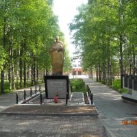 Памятник солдату, Вожега