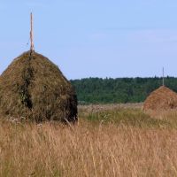 Vytegorskiy hayfields / Вытегорские сенокосы, Вытегра