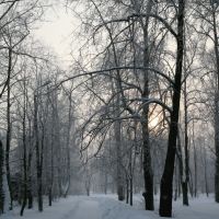 Мороз двадцатиградусный трещит в аллеях парка, Череповец