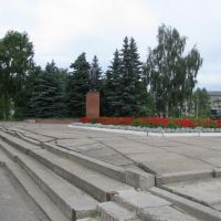 Памятник Ленину., Шексна