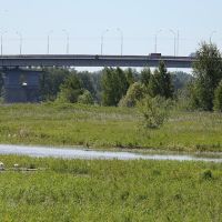 Мост через Шексну, Трасса А114 Вологда-Новая Ладога, Шексна