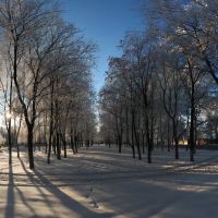 сквер зимой, Борисоглебск
