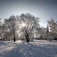 зима, Борисоглебск
