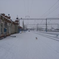 станция, Давыдовка