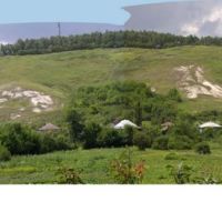 Просим вас высказать свое мнение о культуре посещения мест общественного отдыха.