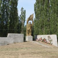 Памятник воинам 1941-1945 село Репьёвка .Monument 1941-1945 Village Repevka, Репьевка