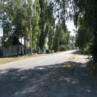 Rural street     . Улица село Репьевка, Репьевка