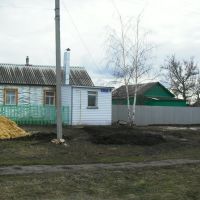 Дом в Дмитриевке рядом с магазином..., Хохольский