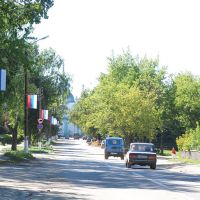 Центральная дорога, Ардатов