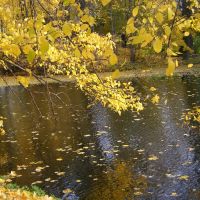 Осенний пруд.  Большое Болдино, Большое Болдино
