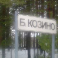 село, Большое Козино