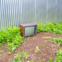 Old TV :), Васильсурск