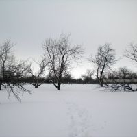 Колхозный сад зимой, Васильсурск