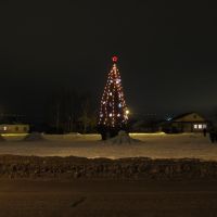 Christmas Tree, Выездное