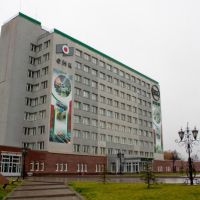 Администрация Выксунского металлургического завода, Выкса