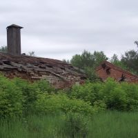 Руины старого чугунолитейного завода, Выкса