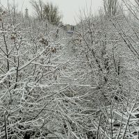 Zavolzhye. First winter days., Заволжье