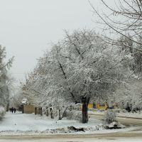Zavolzhye. First winter days., Заволжье