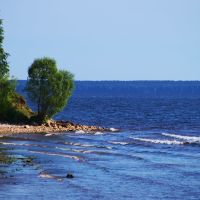 Coast of Gorky reservoir (Берег Горьковского водохранилища), Катунки