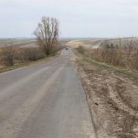 road out of Lukoyanov, Лукоянов