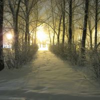 Парк зимой, Павлово