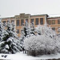 school, Павлово