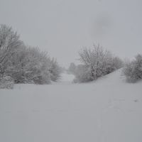 После снегопада, Сеченово