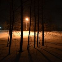 Зимний вечер, Сеченово